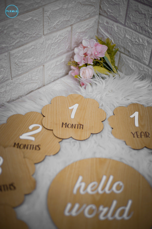 Milestone Discs Acrylic Digits