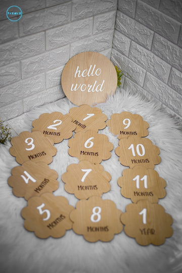 Milestone Discs Acrylic Digits